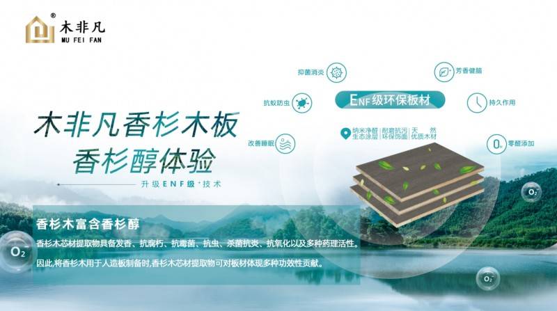 木非凡板材：门墙柜一体打造同色系高级感家居！