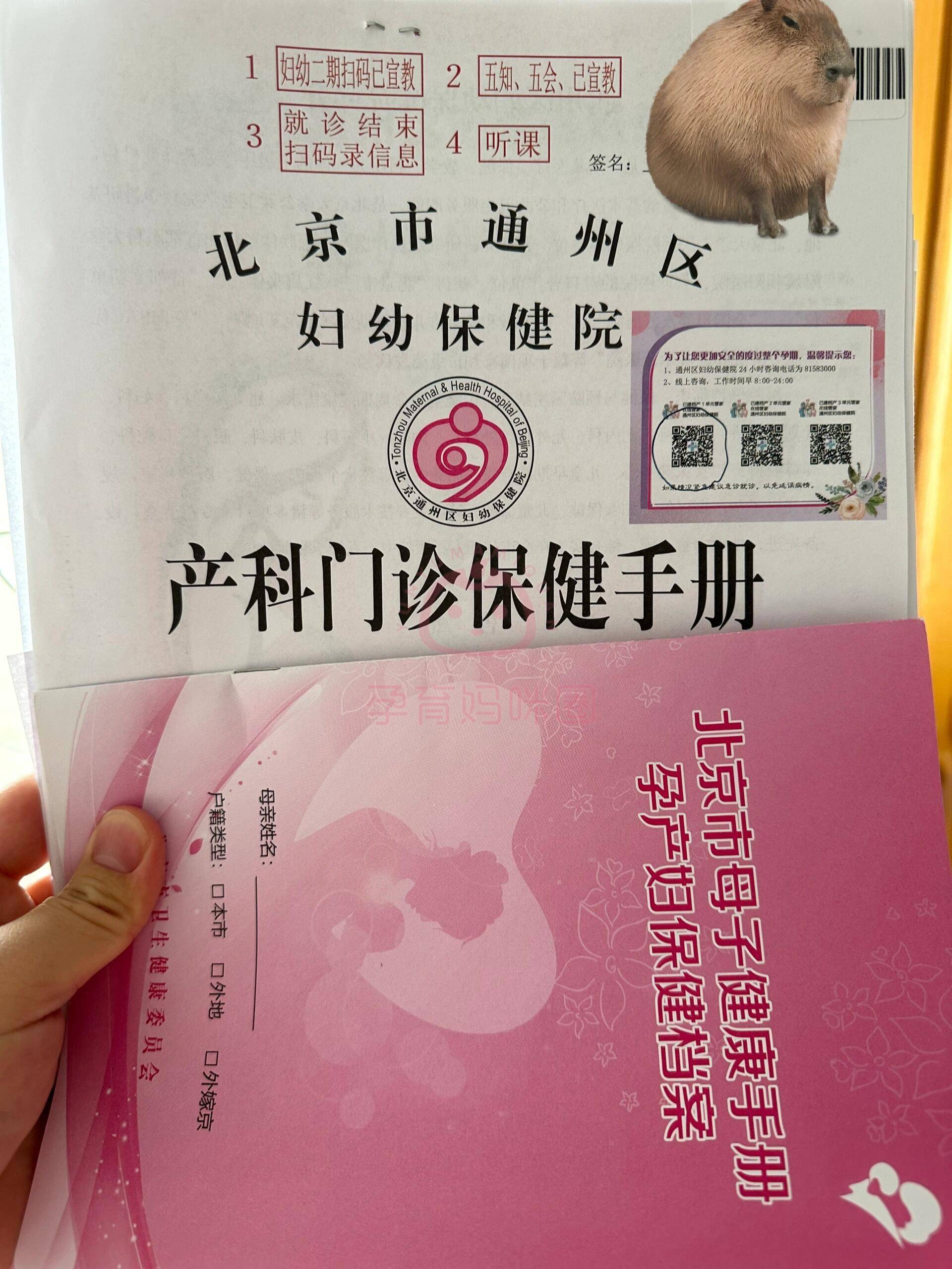 【孕育妈咪圈】的小编将对北京朝阳医院常营院区和通州区妇幼保健院