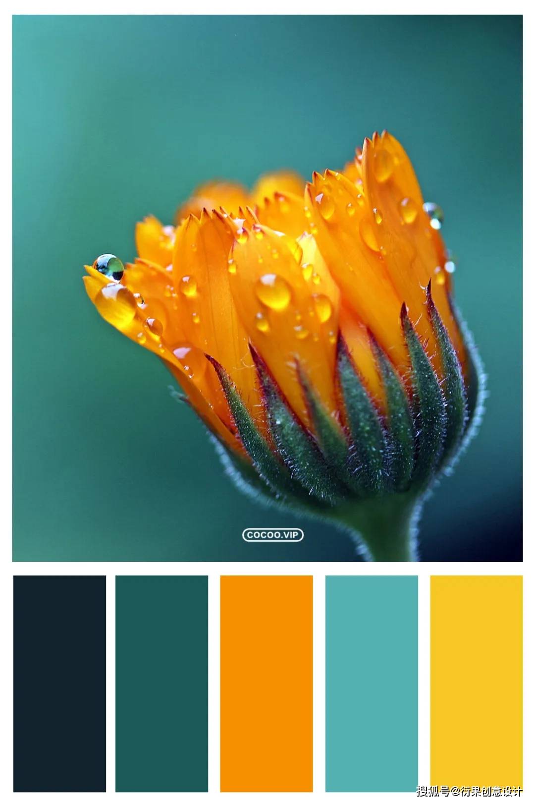 【配色技巧】一组色彩搭配方案