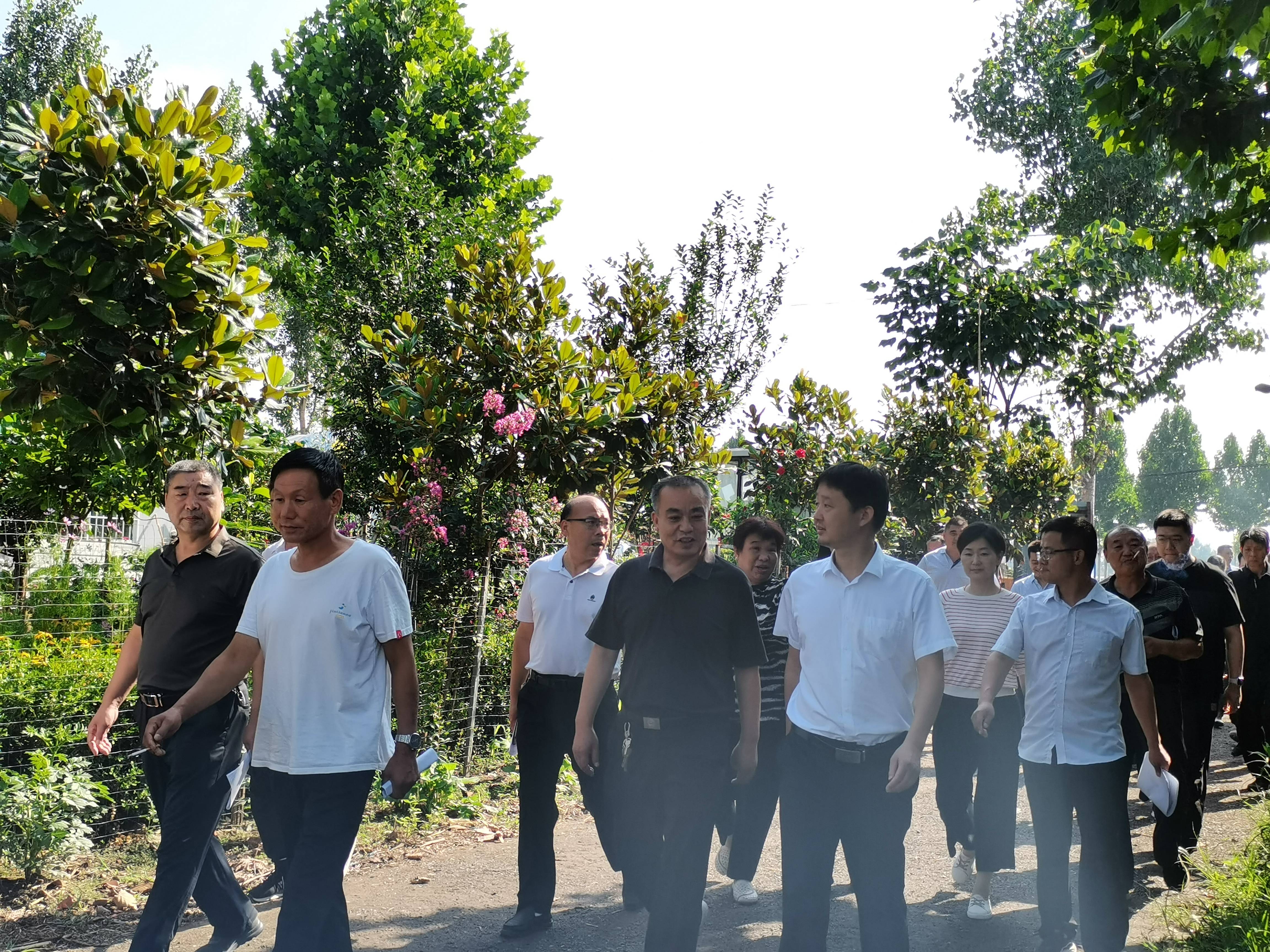 邓州市夏集镇开展"逐村观摩,整乡推进"活动