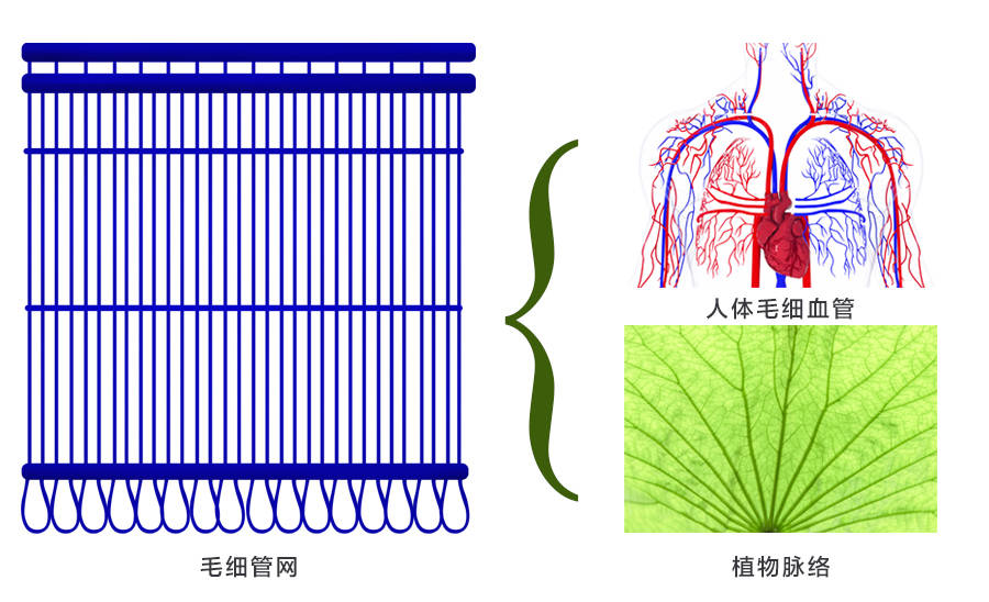 空调毛细管的作用图解图片