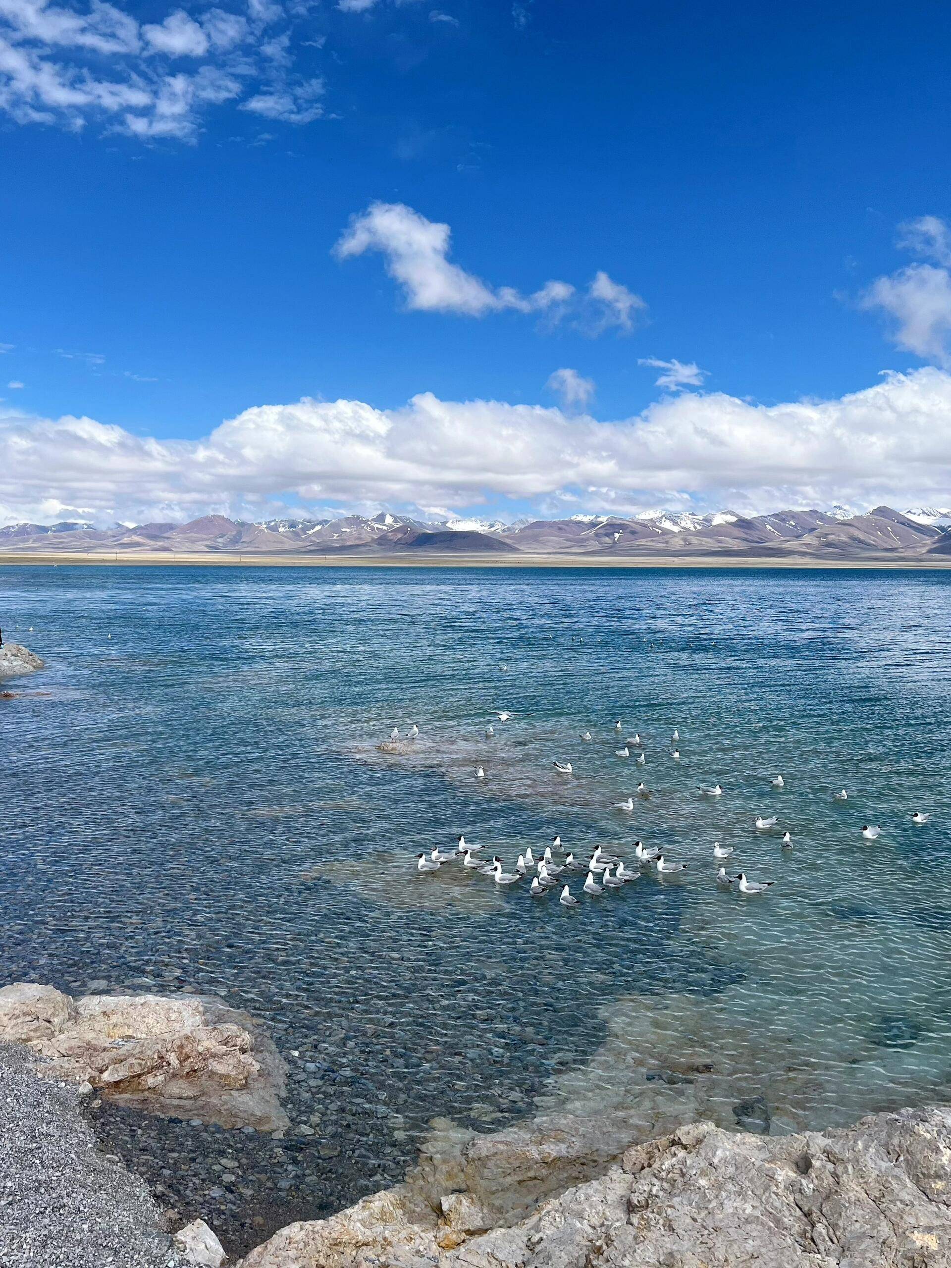 纳木错湖简介风景图片图片