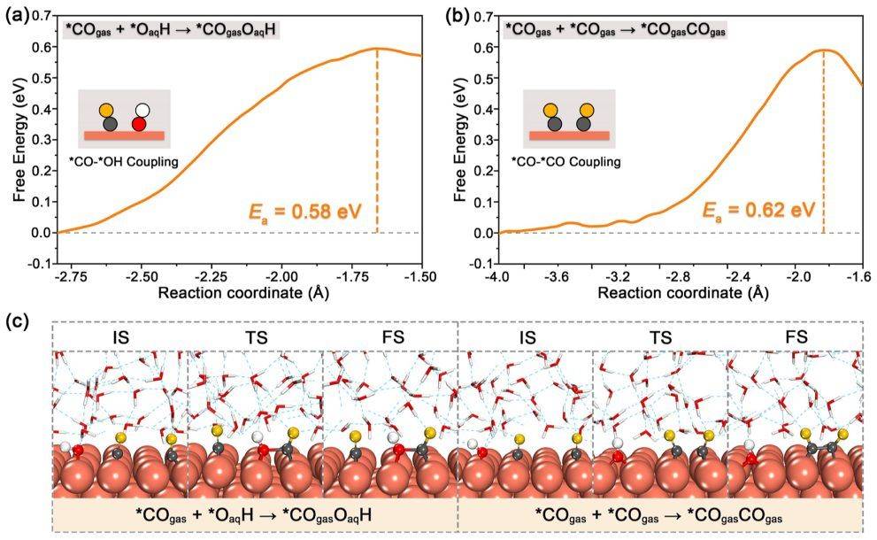 东南大学王金兰/凌崇益团队,最新acs catalysis!