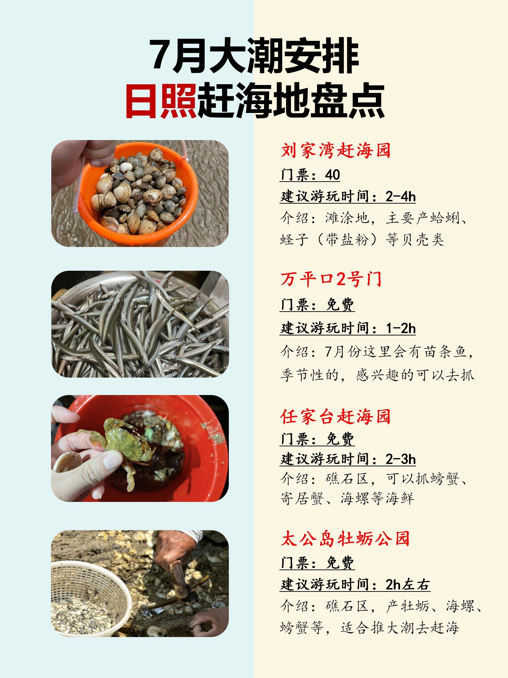 7月大潮安排, 日照赶海问题盘点