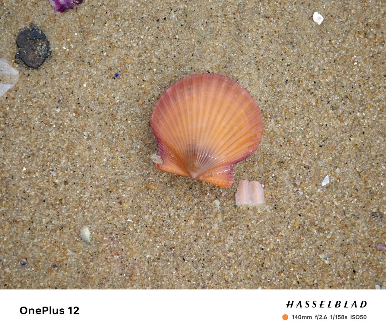 暑期出去旅行,用一加12手机记录沿途美景