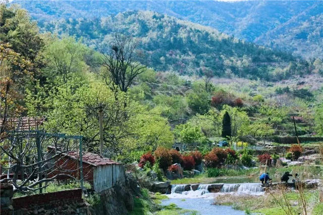 威海环翠区温泉镇:在温泉镇,找到了同款"阿勒泰"