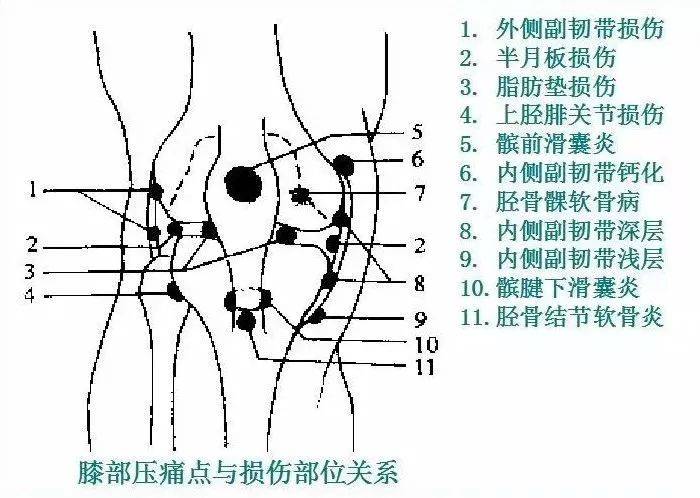 损伤关系(8)米勒(mills)试验(7)肘关节副韧带检查(6)抗重力伸肘试验