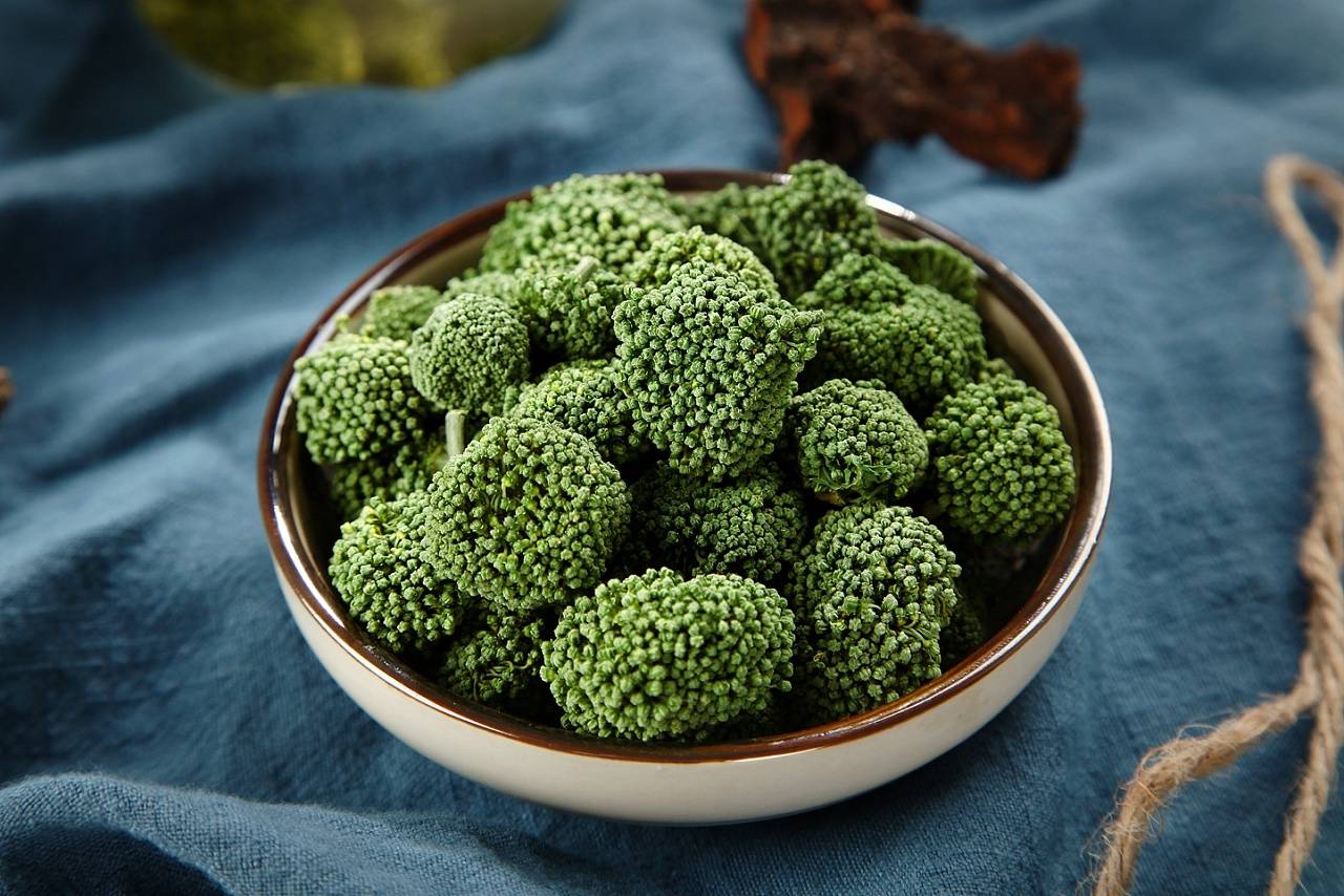 三七花的作用和功效:自然的馈赠,健康的守护者