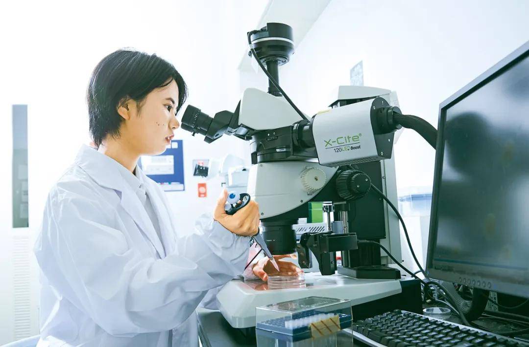 2025年甲南大学出愿信息早知道