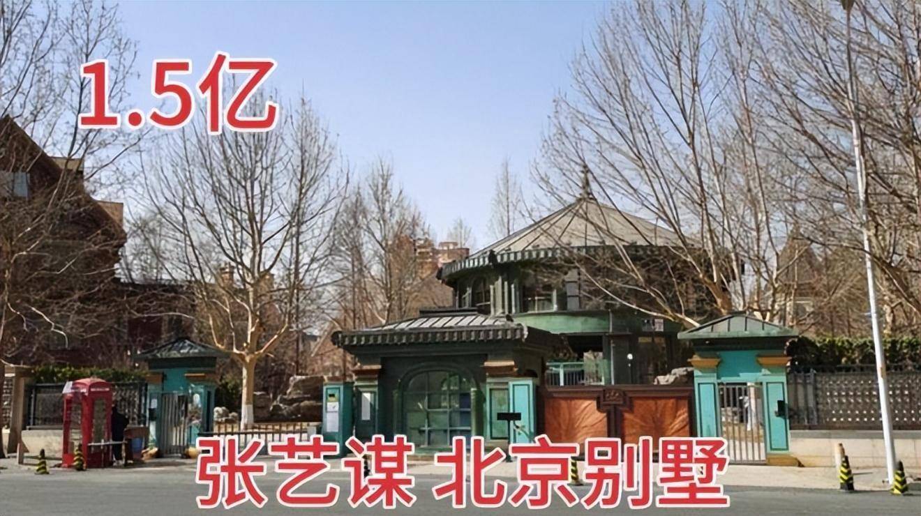 张艺谋麾下坐拥18家公司,业务广泛,实力不容小觑,2009年,他以中国文化