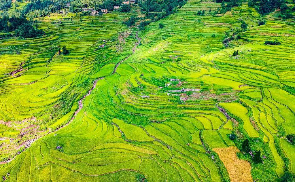 【他山之石】重庆10个绝美避暑胜地炎热的夏天去享受