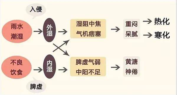 最银南 | 三伏天喝什么茶最好-三伏天气喝什么茶祛湿排寒效果好