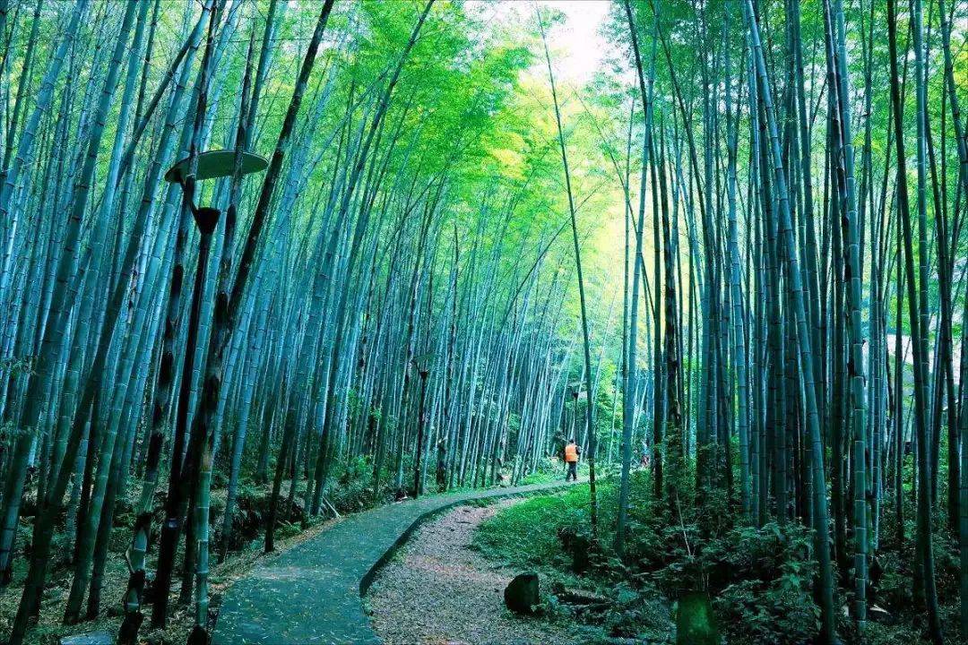 【他山之石】重庆10个绝美避暑胜地炎热的夏天去享受躲在风景里带来