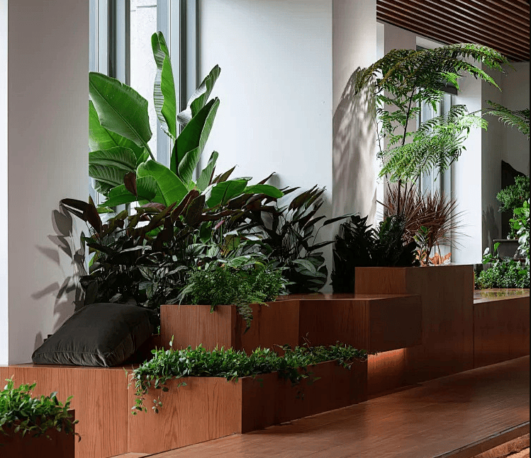 绿植不只是装饰,教你摆对风水绿植行好运_形态_植物_住宅