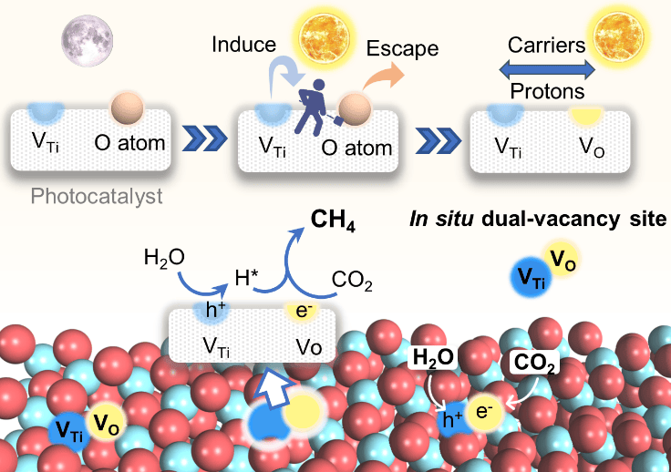 《美国科学院院报》发表碳中和领域重要研究成果_环境学院_论文_反应