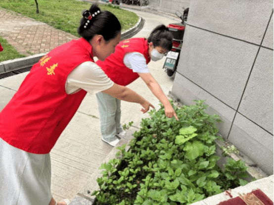 此次踏查活动,未发现辖区内有非法种植毒品原植物行为,有效提升了辖区