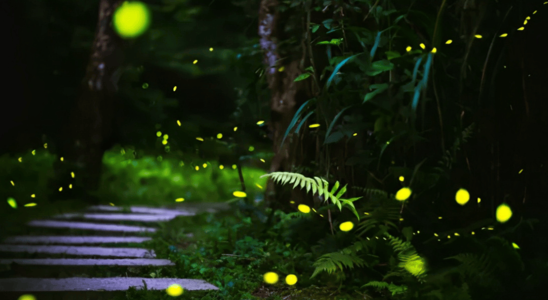十首夏夜纳凉的诗词,写尽夏夜的美,读来令人恬美,惬意,清凉!