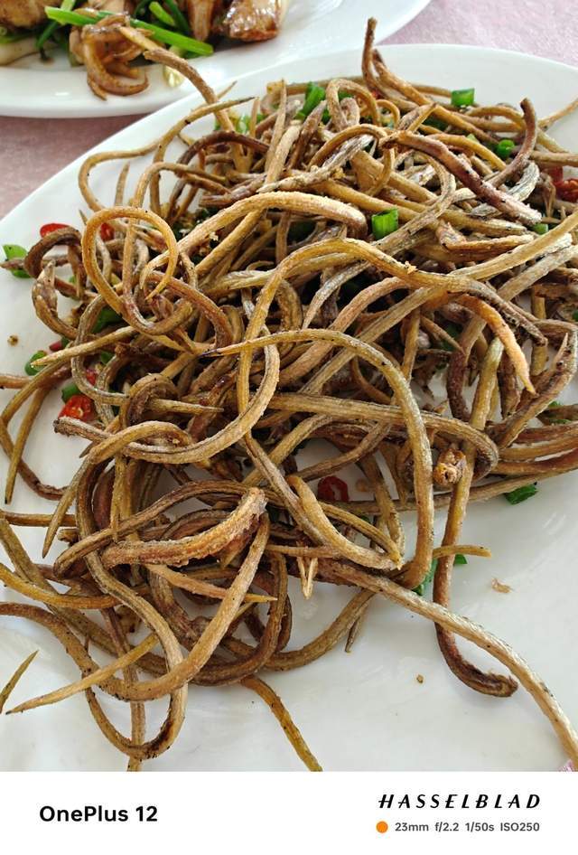 毕业季旅拍的记录:一加12影像深度体验,看看什么是哈苏味