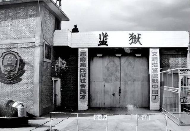 1968年,北大才女林昭被执行枪决,行刑前大喊:历史会证明我无罪