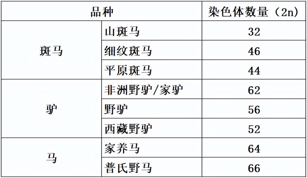 动物杂交名字图片