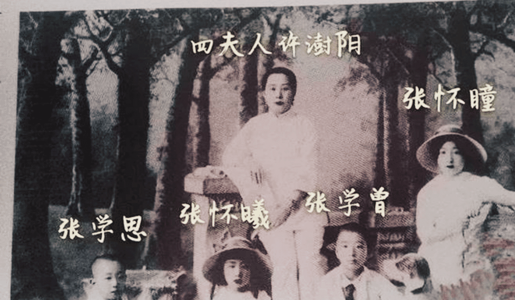 四姨太,90岁去世后葬八宝山,4个子女皆人中龙凤_许澍昫_张学思_张学曾