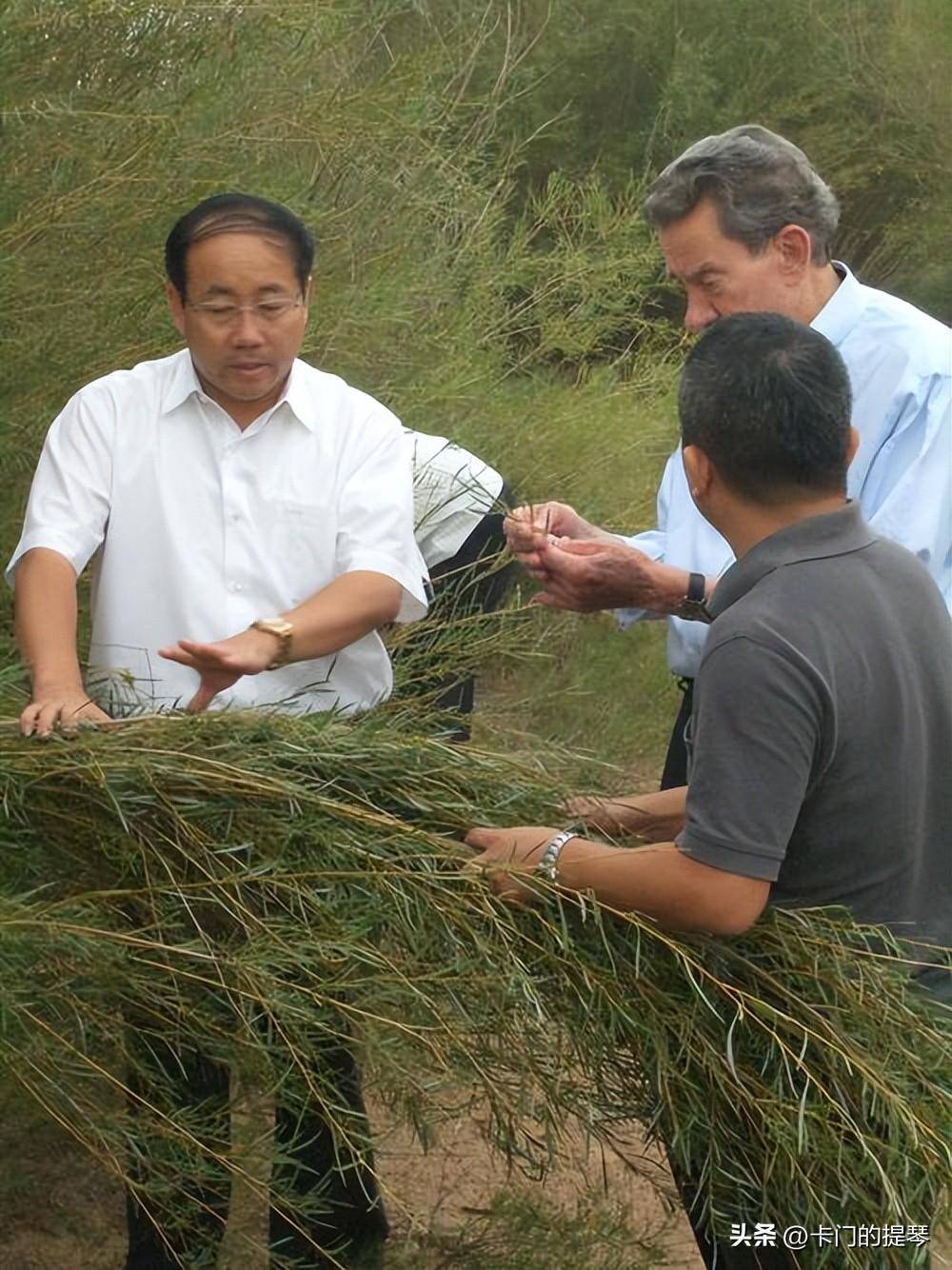 獭兔_赵永亮_沙柳