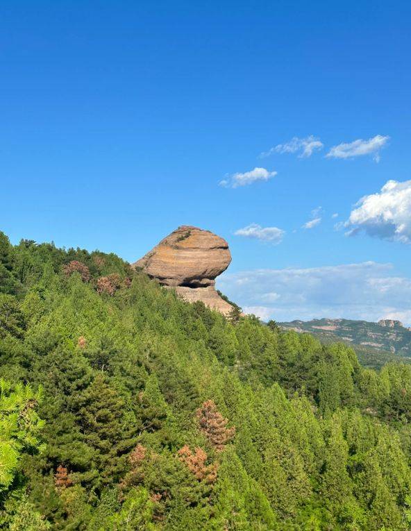 孤峰耸立,云雾缭绕——棒槌山,大自然的神秘杰作
