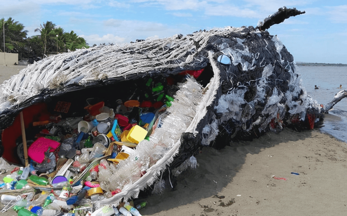 进行_海洋所_人类