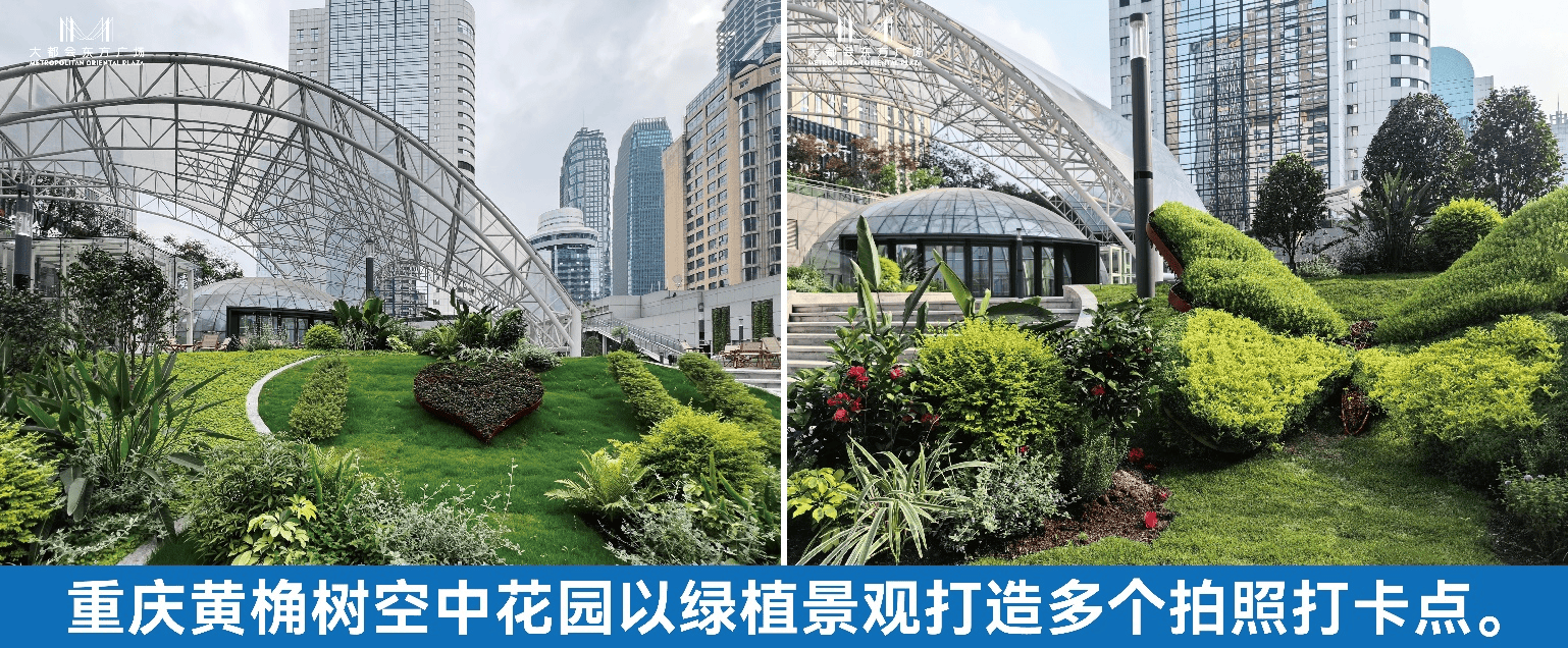 "以你的名字,编写我的故事":重庆黄桷树空中花园