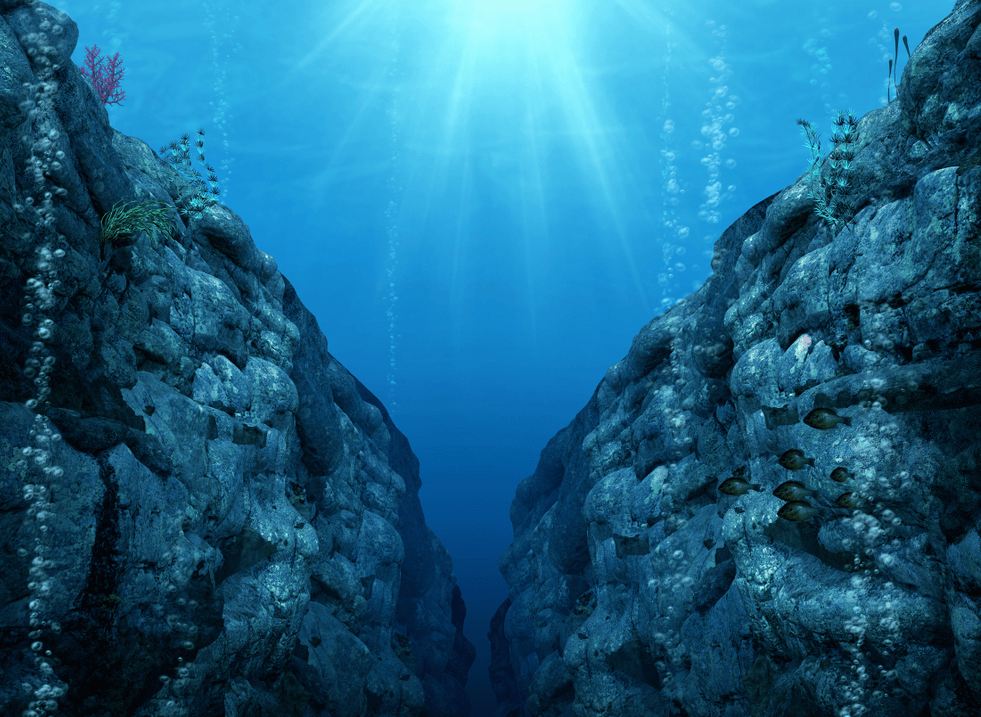 手里攥着那个卡在深渊里的“失效罗盘”和祭祀铜铃？