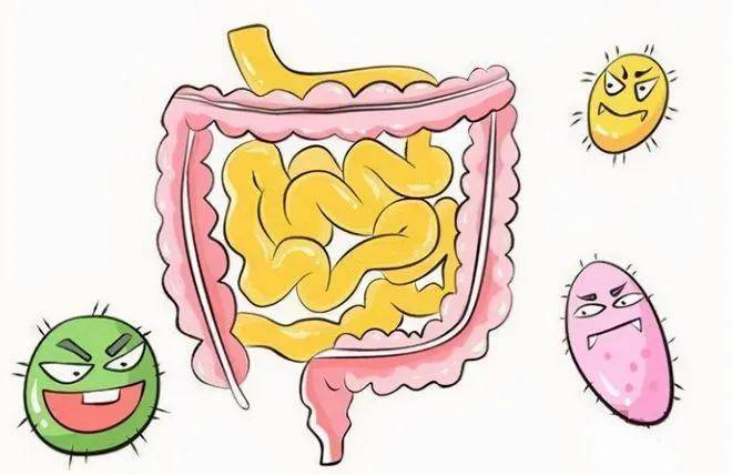 降低胃肠道血流量,从而降低其防御能力,而且会刺激胃肠道黏膜,造成