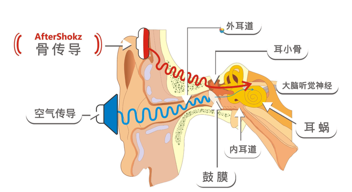 真实测评南卡Runner Pro5骨传导蓝牙耳机：解锁运动新境界，音质与安全并重