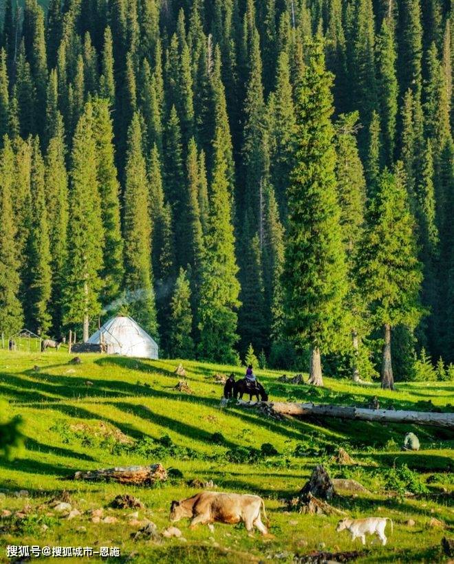 新疆十二日梦幻之旅:精选景点不踩雷,省钱秘籍大公开,玩转西域风情