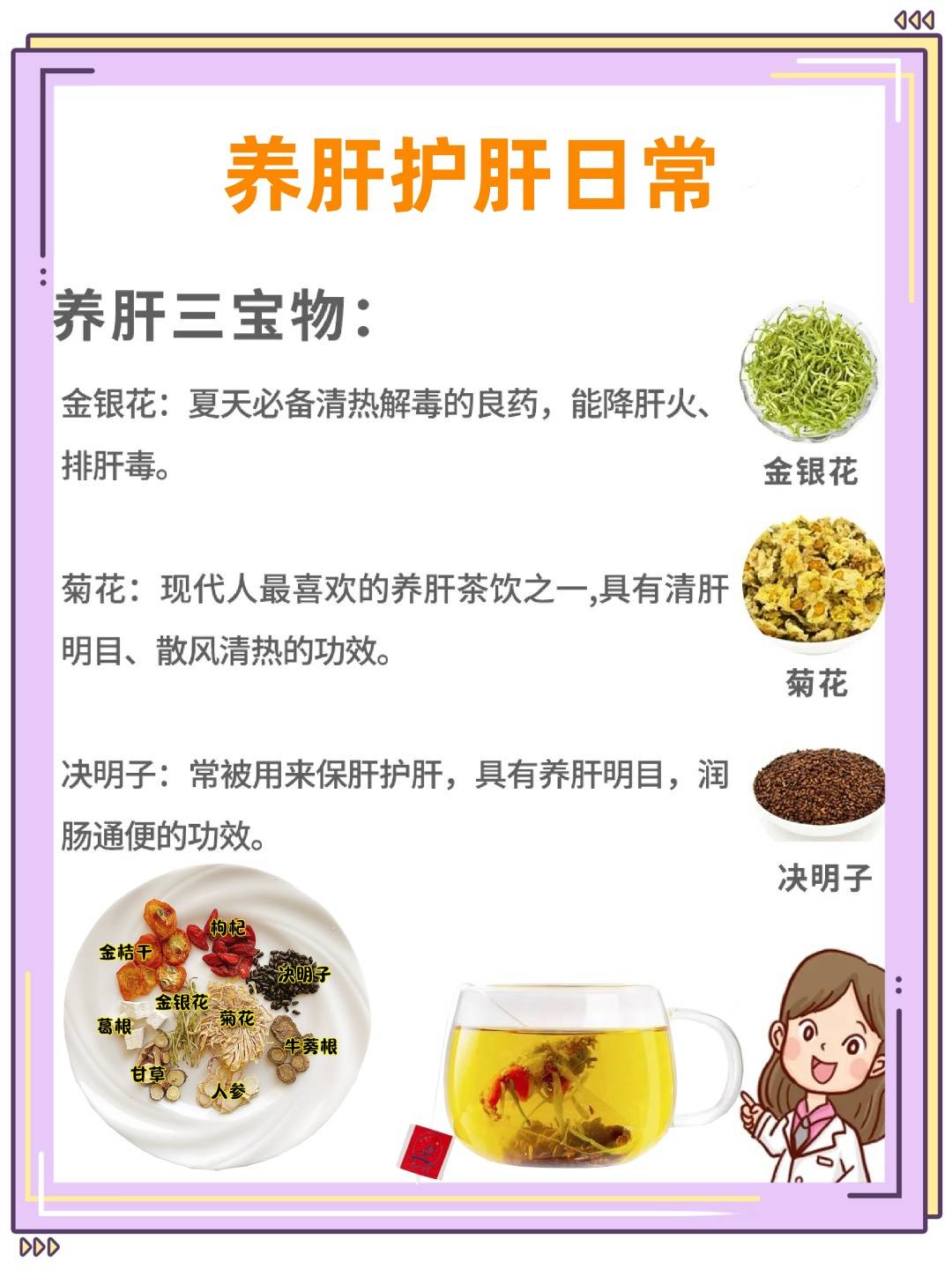 日常养生菊花决明子茶_养肝_葛泽颜_必备