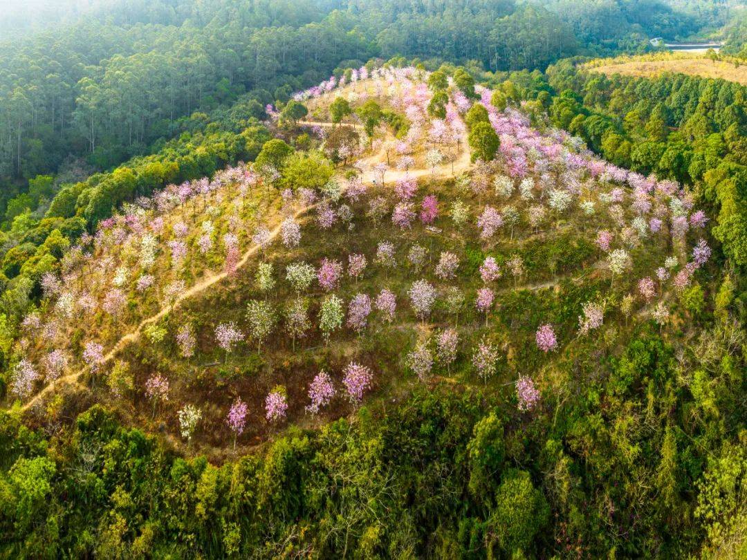 东莞大岭山景点图片