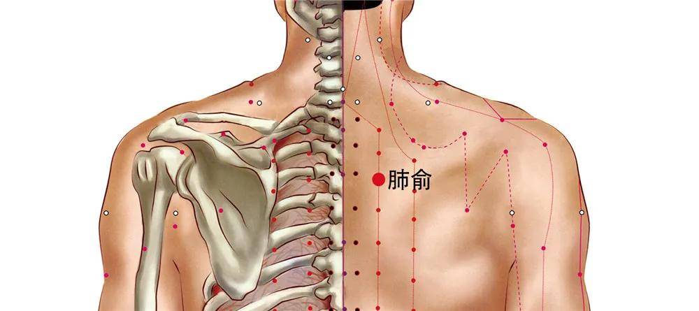 人体自带的化痰穴