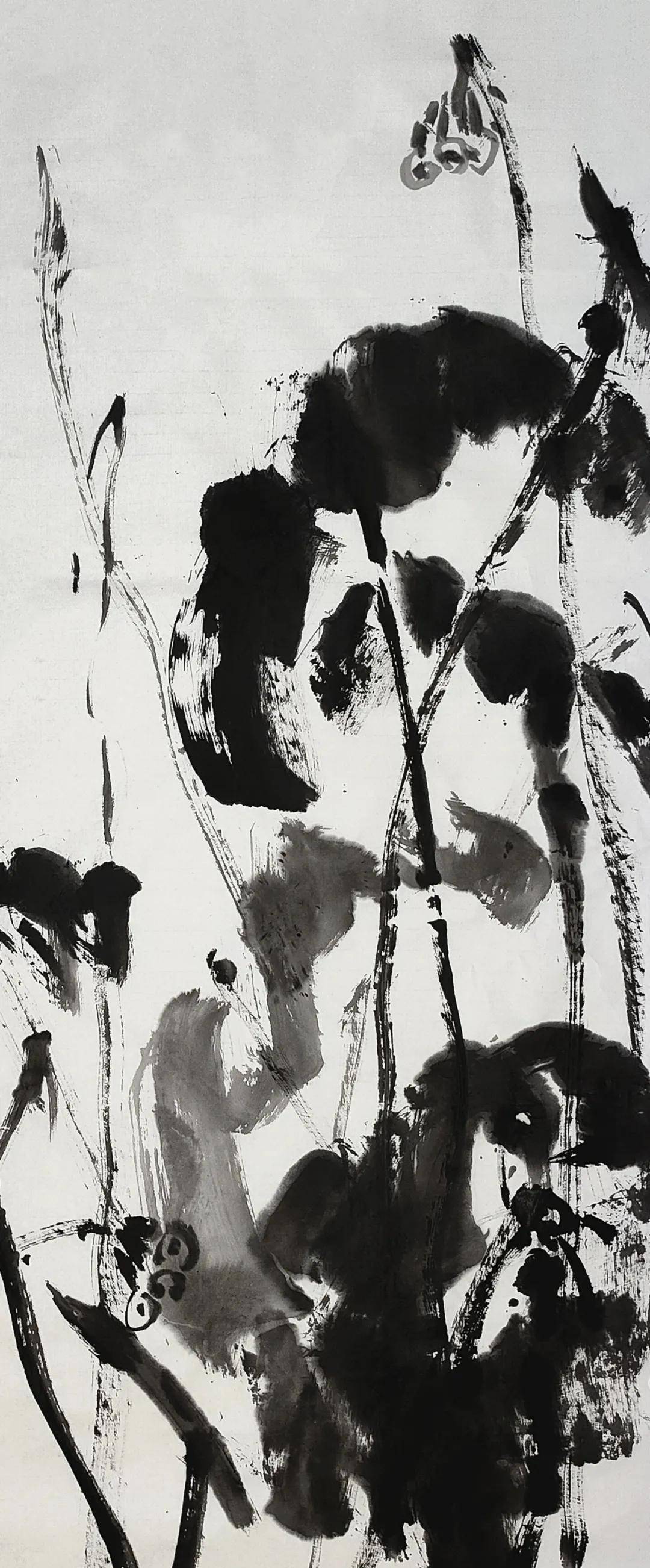 赵永光国画荷花欣赏 编辑发布:淮海书画_作品集_西风_花鸟画家