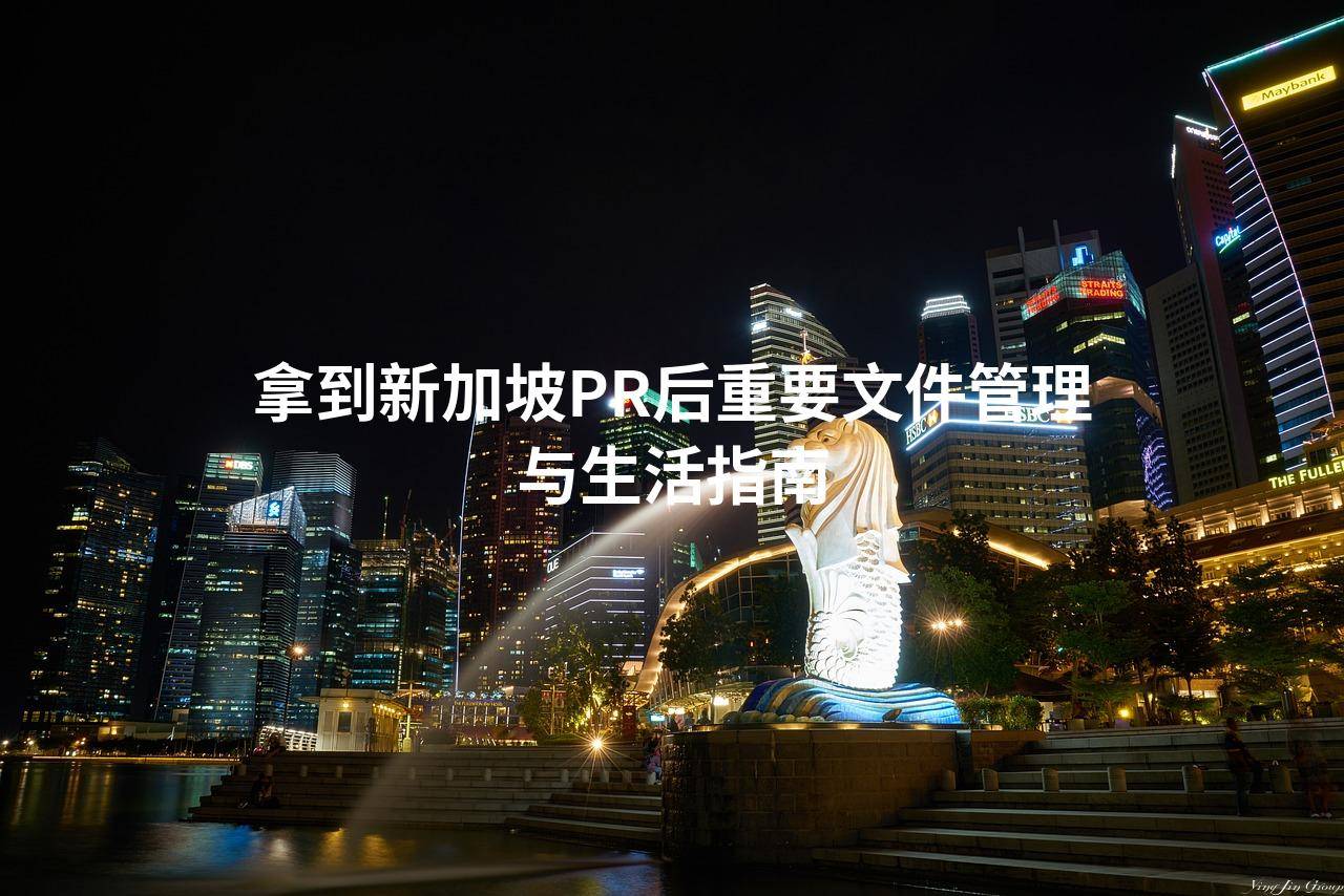 拿到新加坡PR后重要文件管理与生活指南_搜狐网