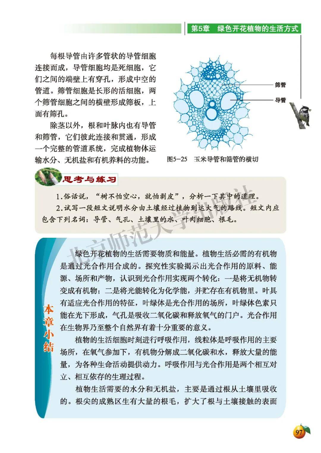 初中生物七年级上册电子课本北师大版