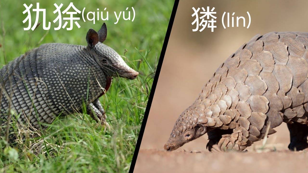 山海经里神秘的"獜"是什么动物