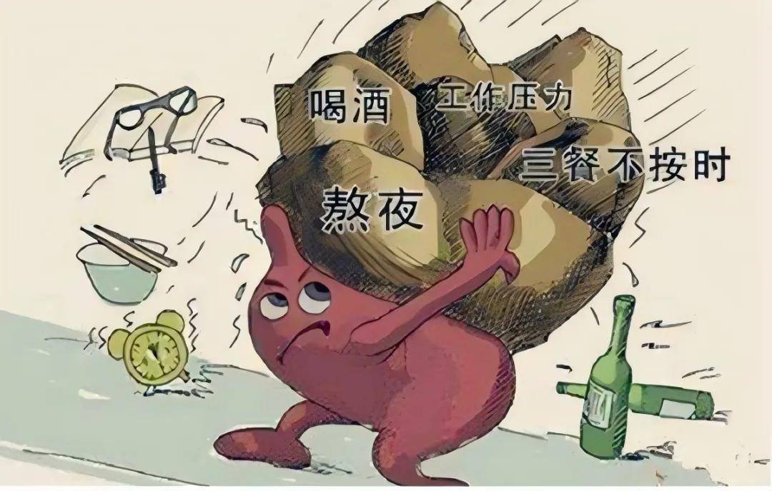 现代人为什么会缺营养?新疆驮中驼驼奶粉