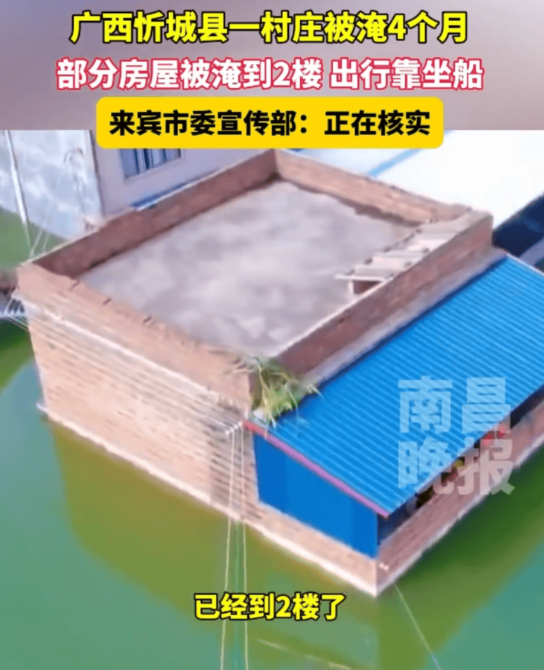 原创            广西村庄被淹4个月！ 牲畜被转移，村民住养老院，官方回应惹众怒-广西被洪水冲走