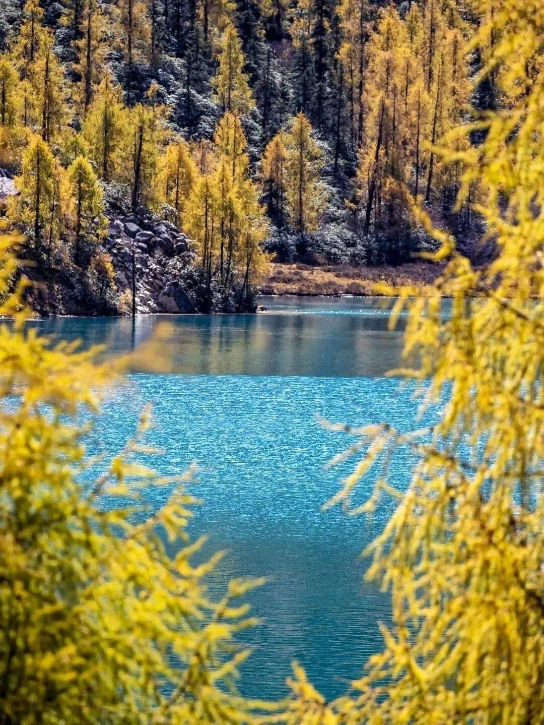 风景名胜①四川甘孜 | 党岭:一幅恬静如诗的优美画卷_文旅_文化_景物