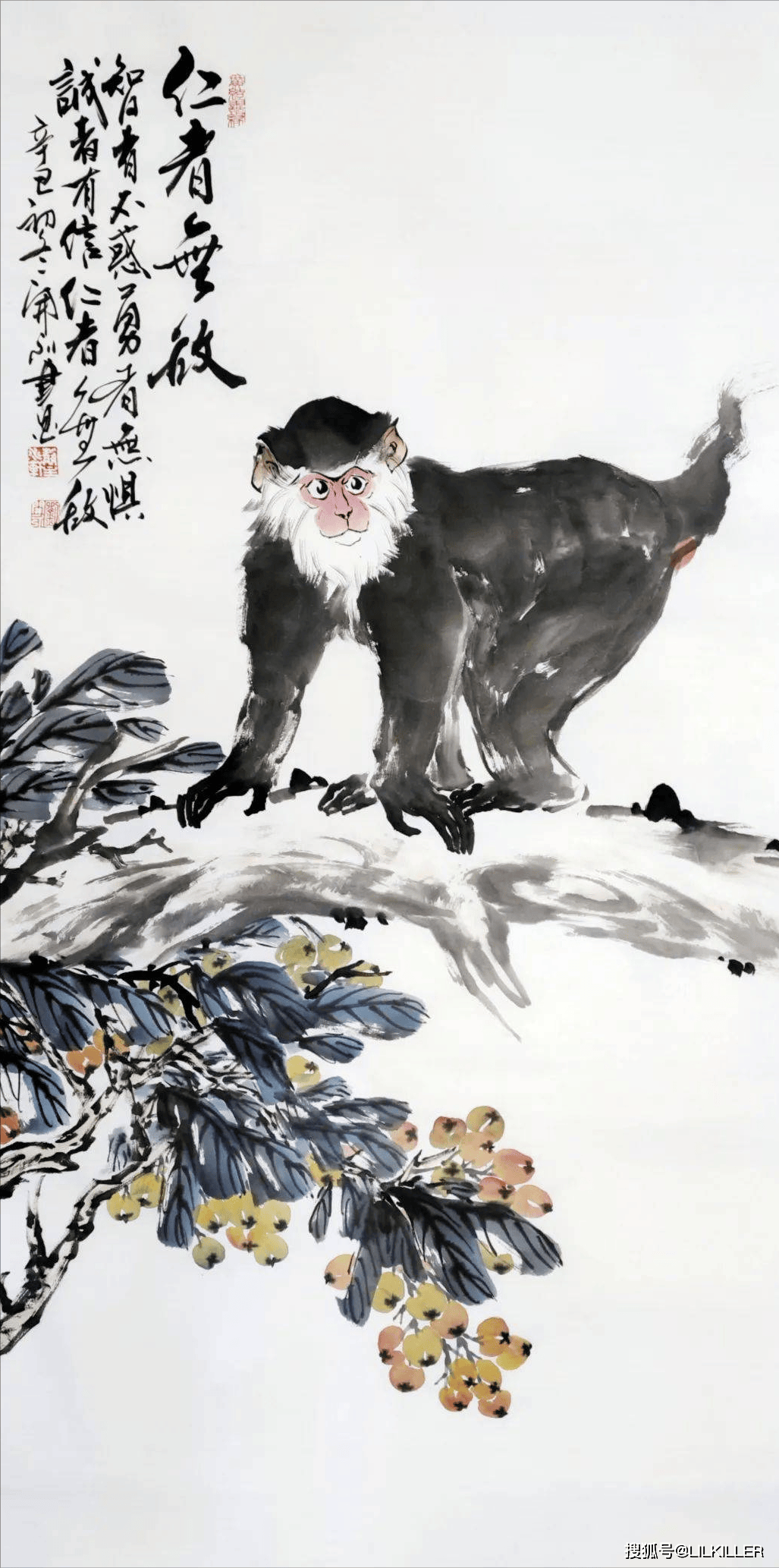 生肖鸡在猴年运势(鸡年猴时出生的命运)