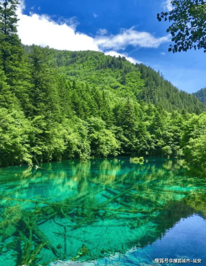 四川六天五晚旅游攻略，茂县九寨沟都江堰青城山六日游行程规划！-第5张图片-旅游大全网