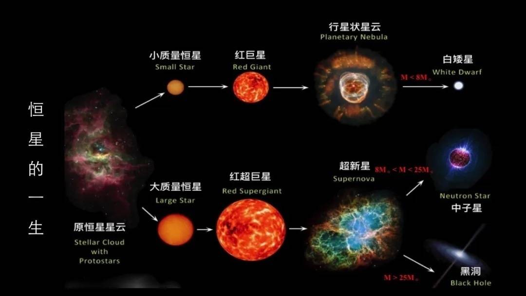 宇宙_中子星_白矮星