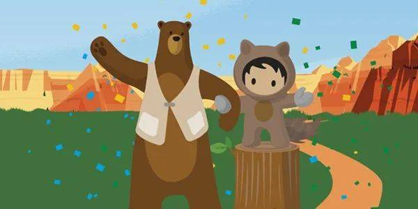 Salesforce职业规划：原厂，甲方，乙方，从业者应该如何选择？