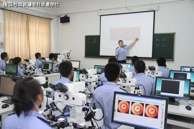 2023年新疆政法学院录取分数线(2023-2024各专业最低录取分数线)_新疆政法学院投档分数线_新疆政法学院最低分数线