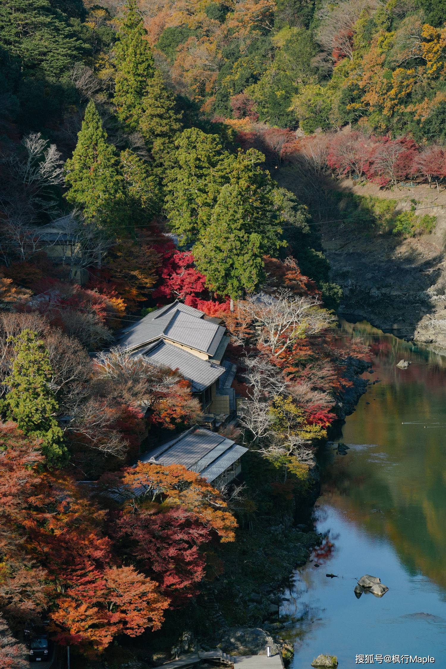 日本岚山图片