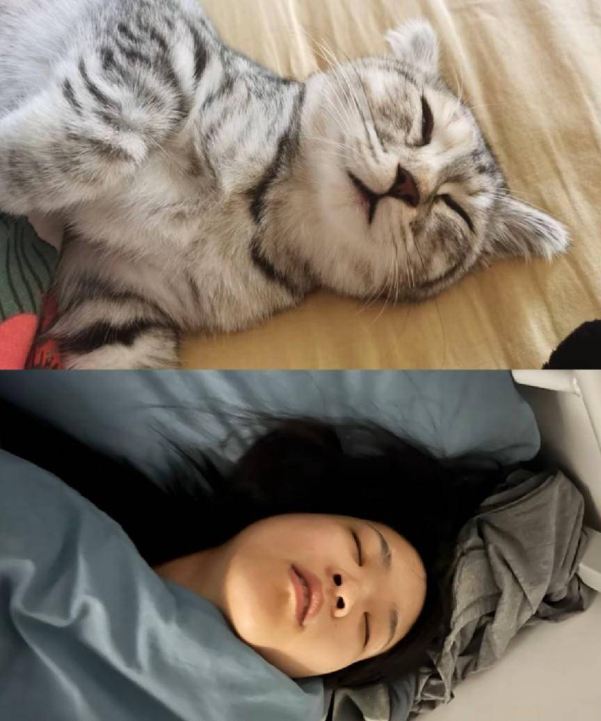 长得像猫的女生面相图片